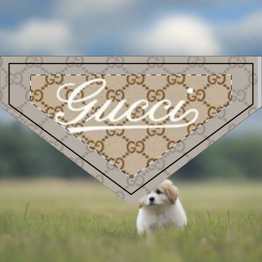✨✨Gucci vintage inspired Clip-on Pet Bandana